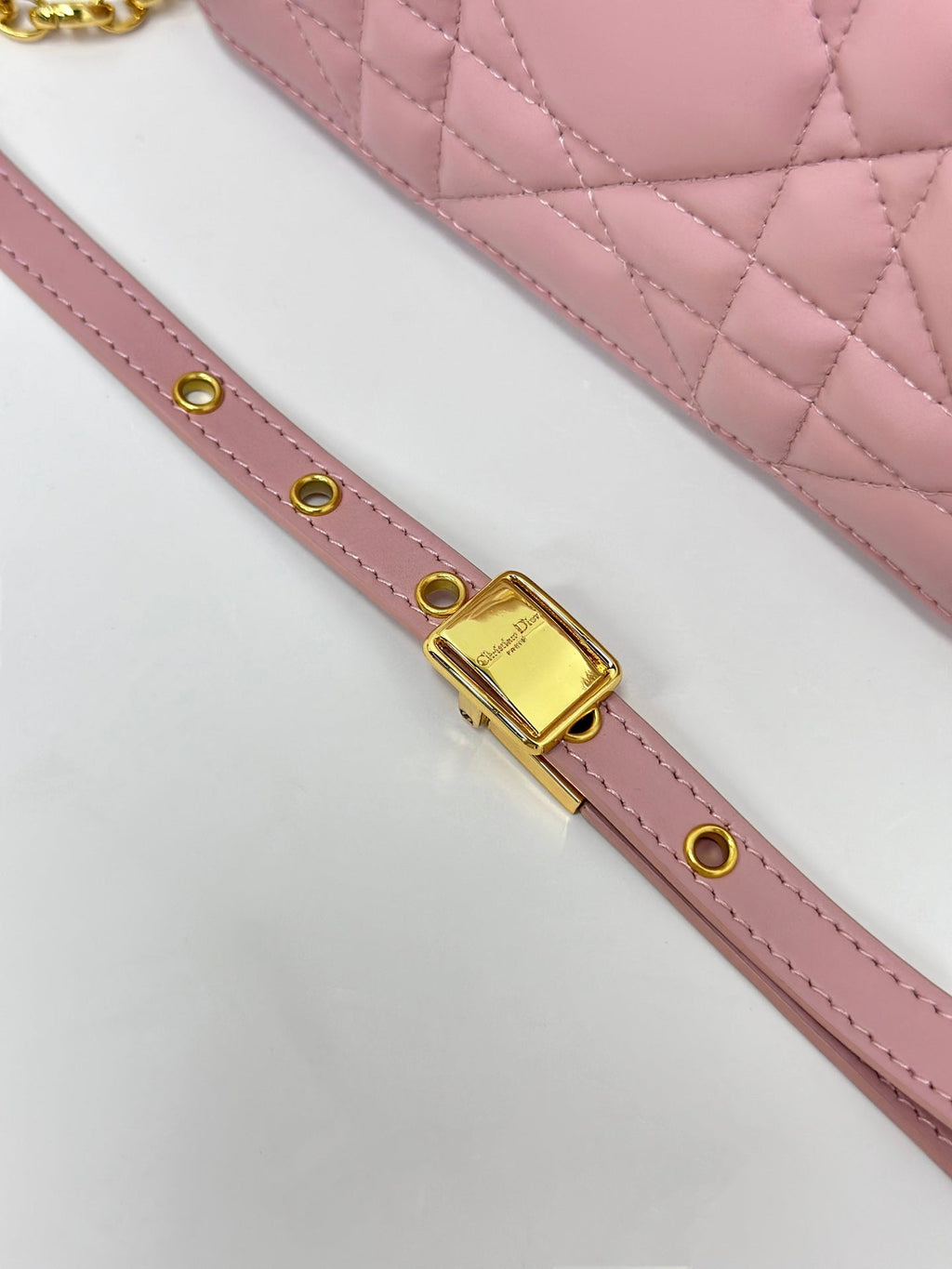DIOR CARO BOX 19 IN LIGHT PINK CALFSKIN