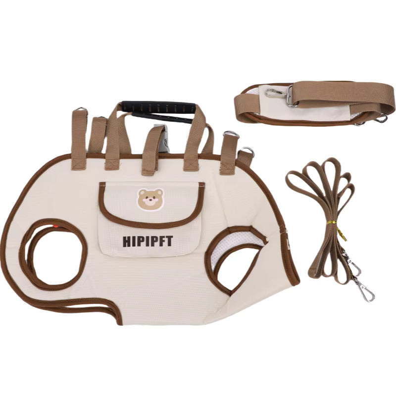 Small Dog Whole Body Lift Harness Pet Backpack